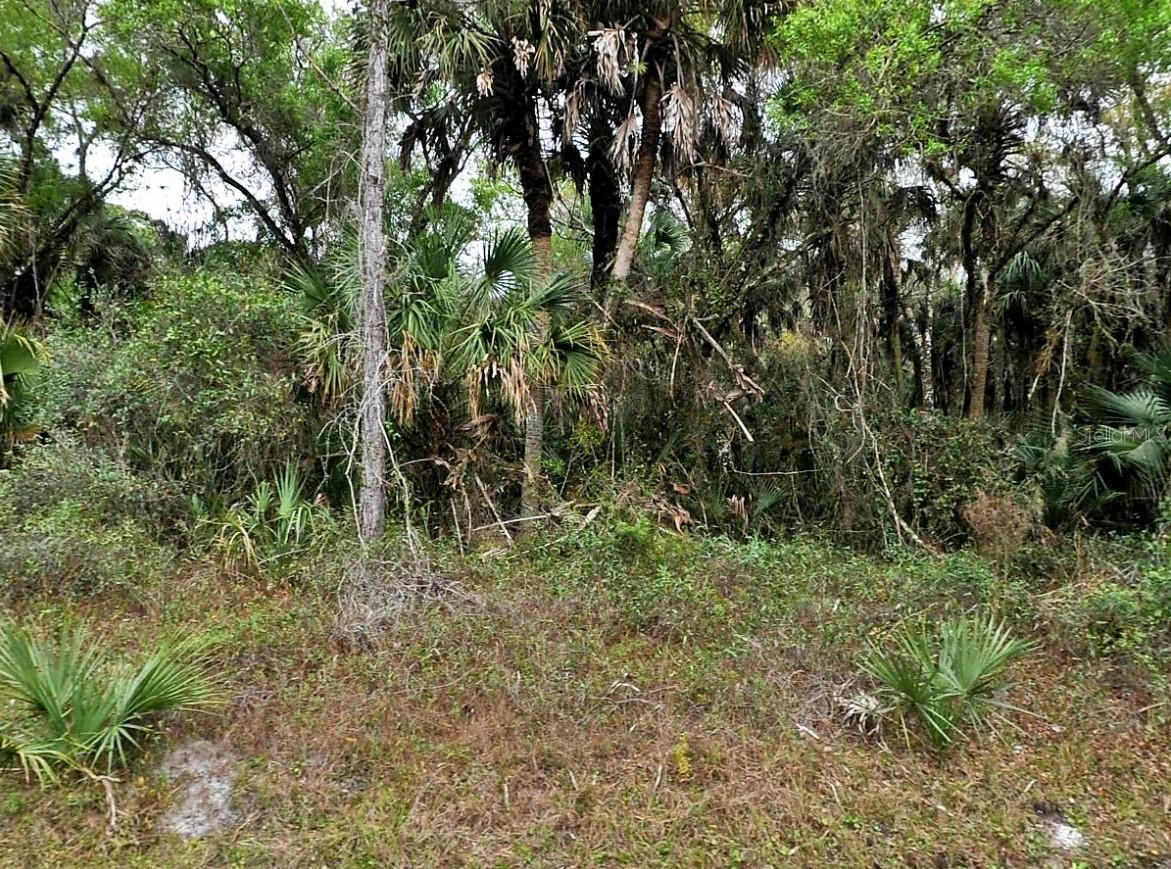 Details for  Hurdle Rd.  , NORTH PORT, FL 34291