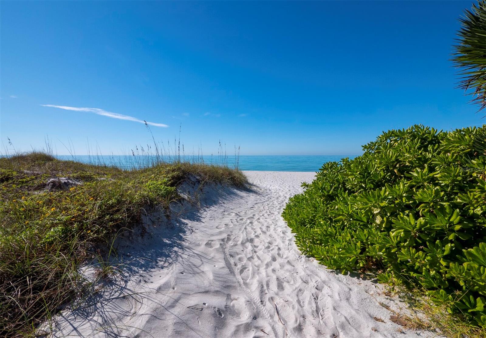 Image 35 of 41 For 3320 Gulf Of Mexico Drive 208c