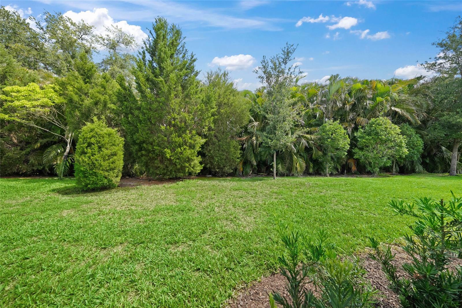 Image 5 of 60 For 7717 Sandhill Lake Drive