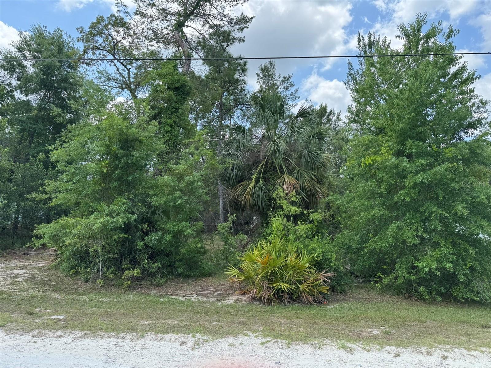 Details for 9004 Senior Way, WEEKI WACHEE, FL 34613