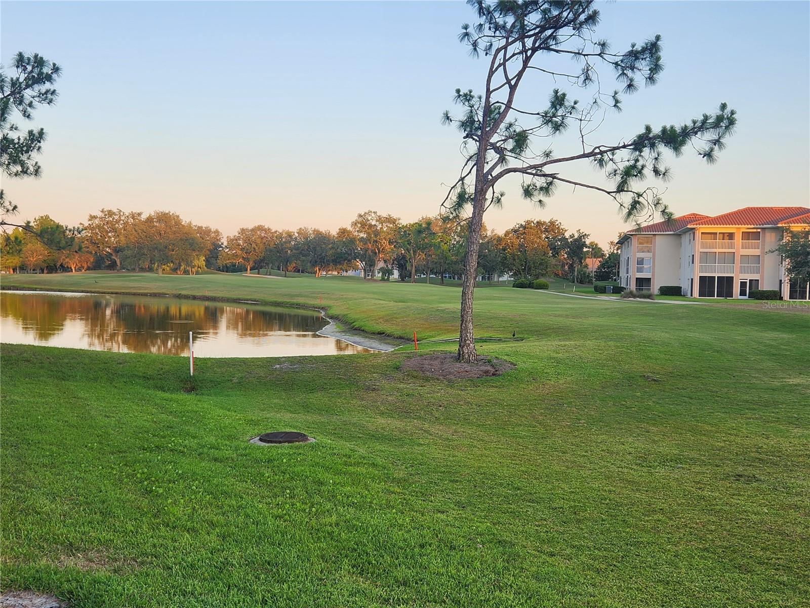 Image 24 of 27 For 6546 Fairway Gardens Drive 6546