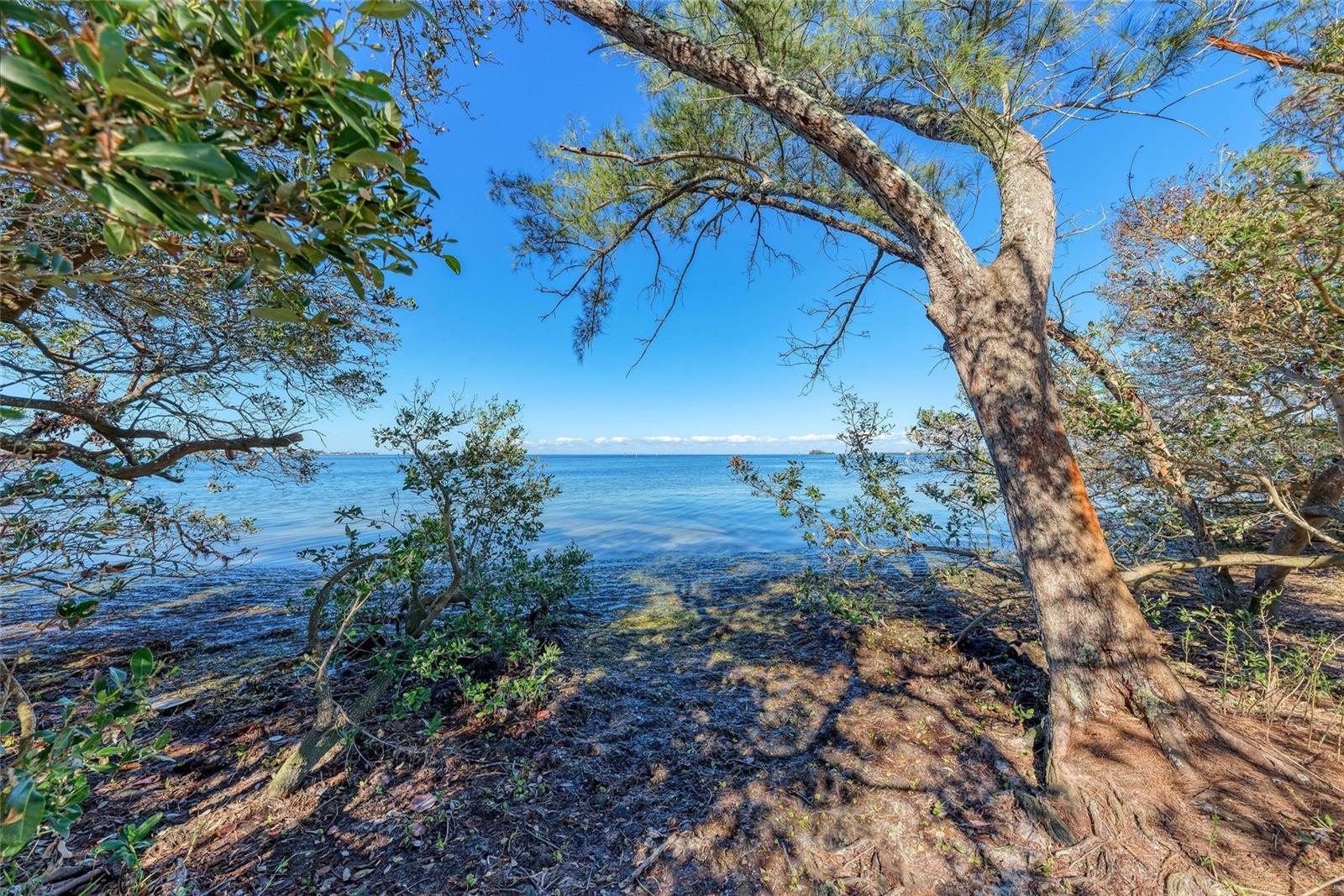 Image 99 of 100 For 276 Saint Lucia Drive 101