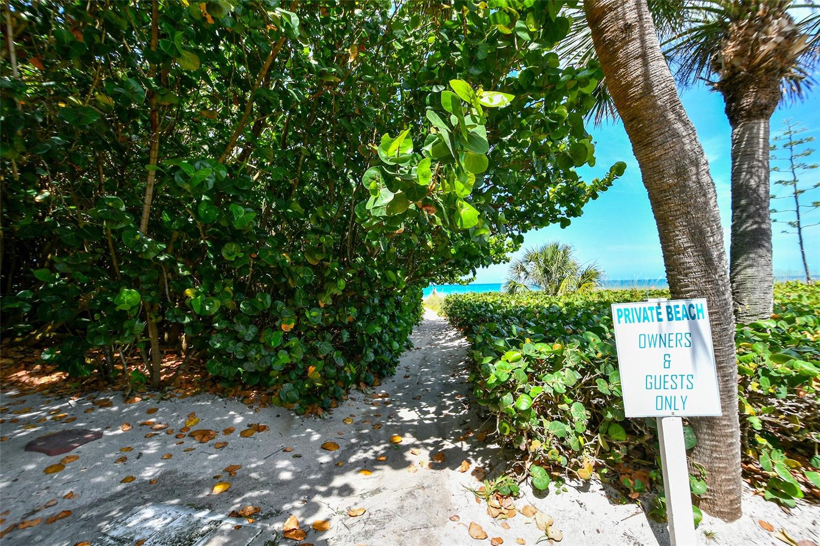 Image 17 of 29 For 105 Casey Key Road 20
