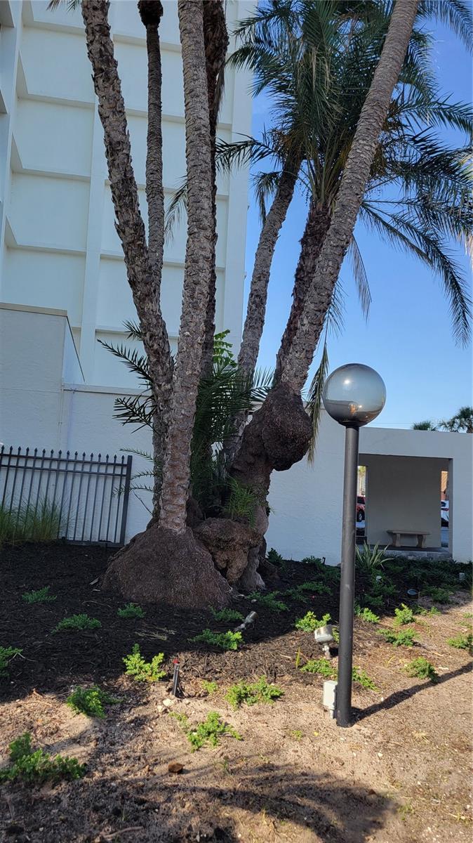 Image 47 of 47 For 4822 Ocean Boulevard 8b
