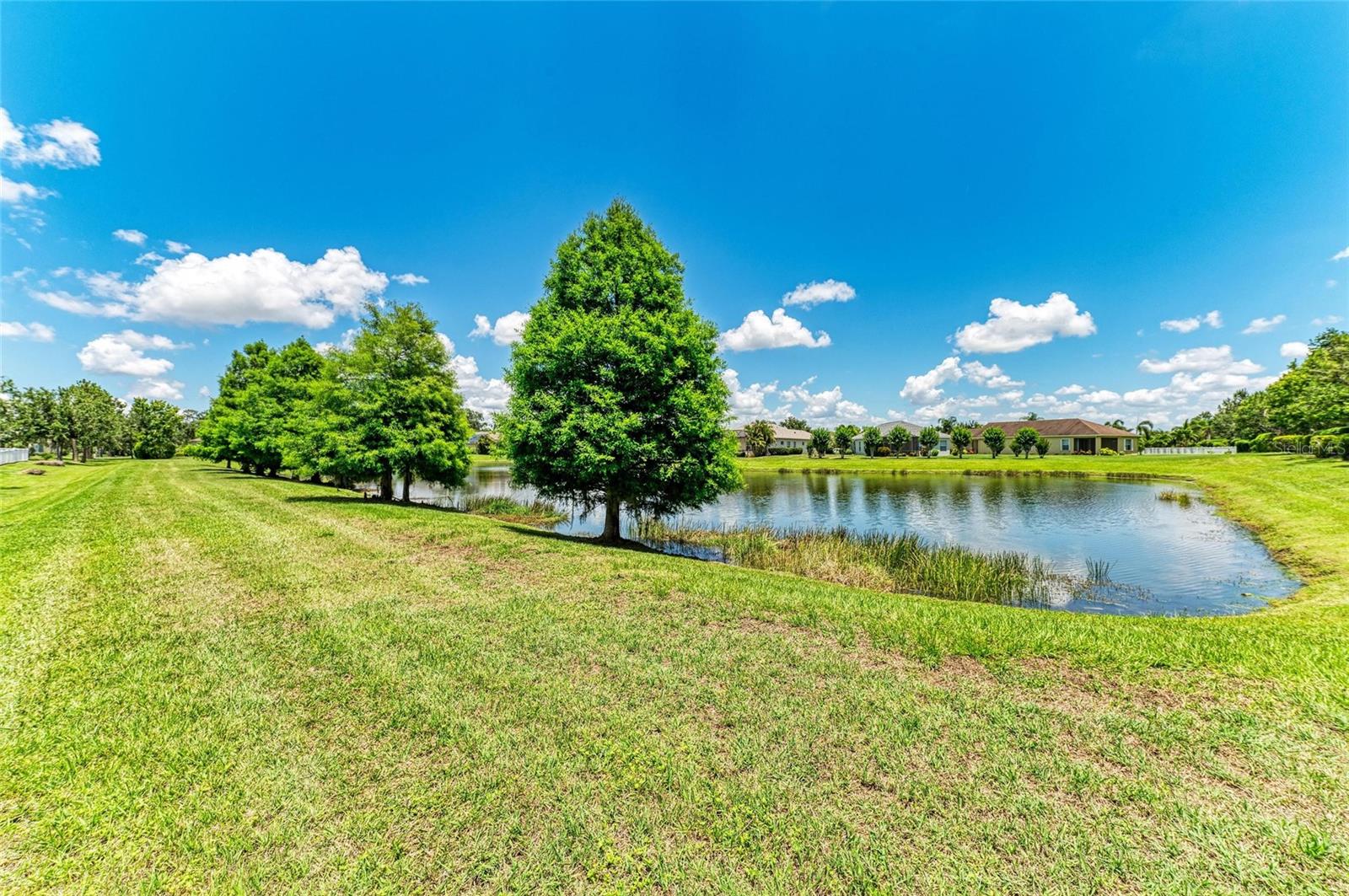 Image 30 of 39 For 11811 Fennemore Way