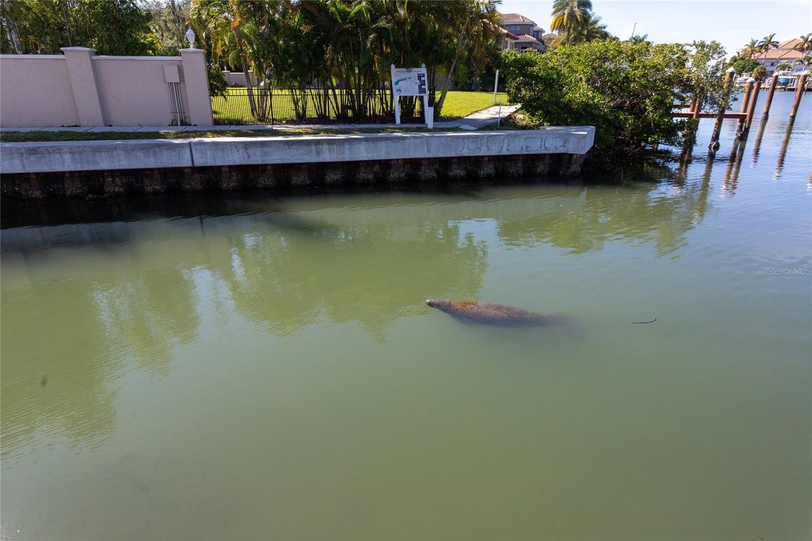 Image 37 of 48 For 1709 Tamiami Trail 215
