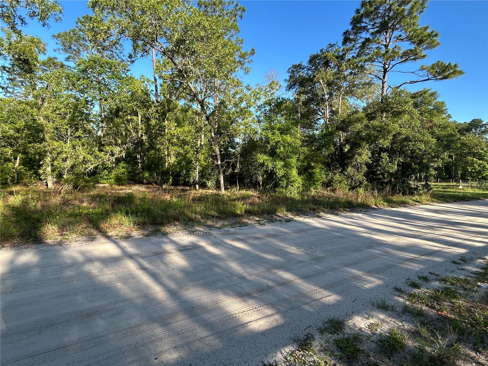 Details for 139th Avenue, WILLISTON, FL 32696