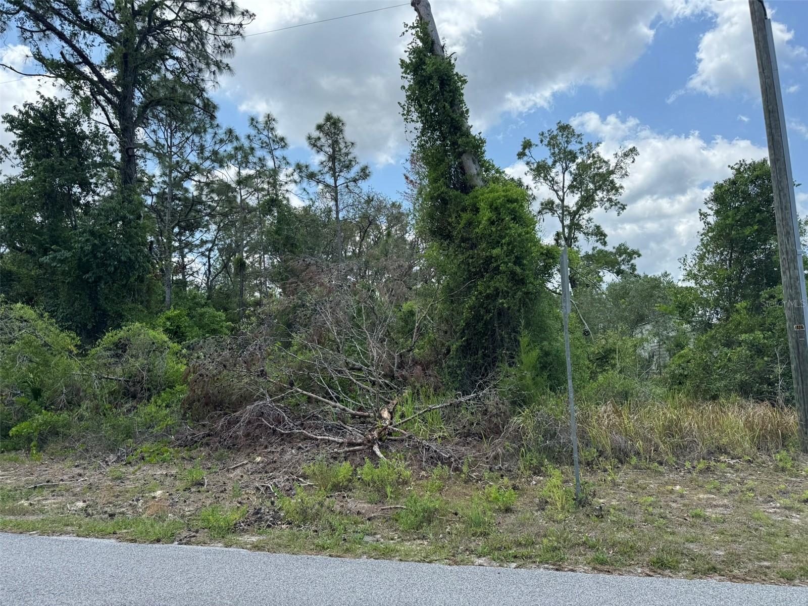 Details for Lot 3 Long Lake Avenue, WEEKI WACHEE, FL 34613