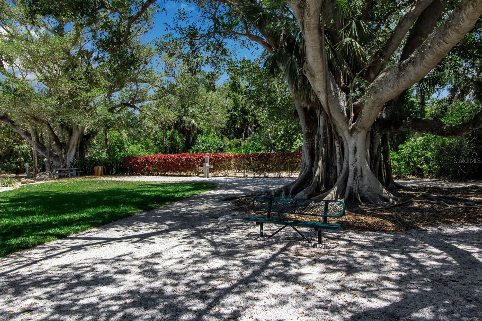 Image 38 of 39 For 603 Cedars Court