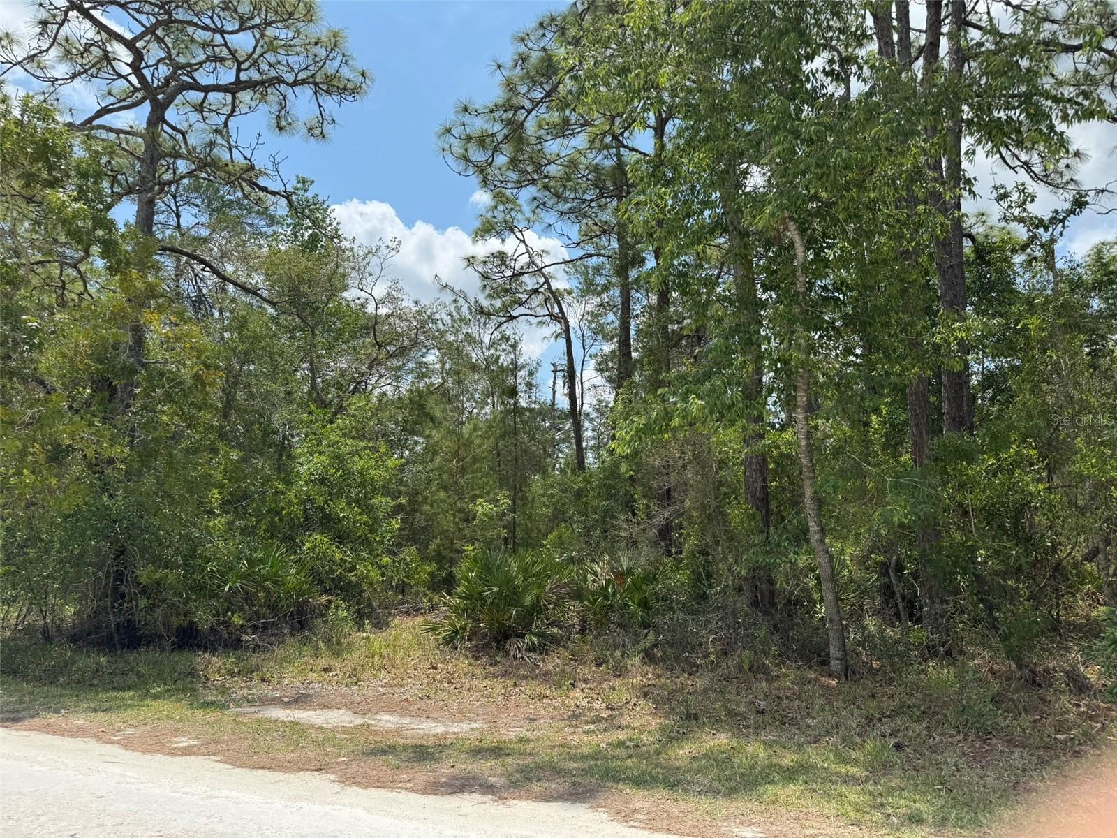 Details for Lot 55 Nakoma Way, BROOKSVILLE, FL 34613