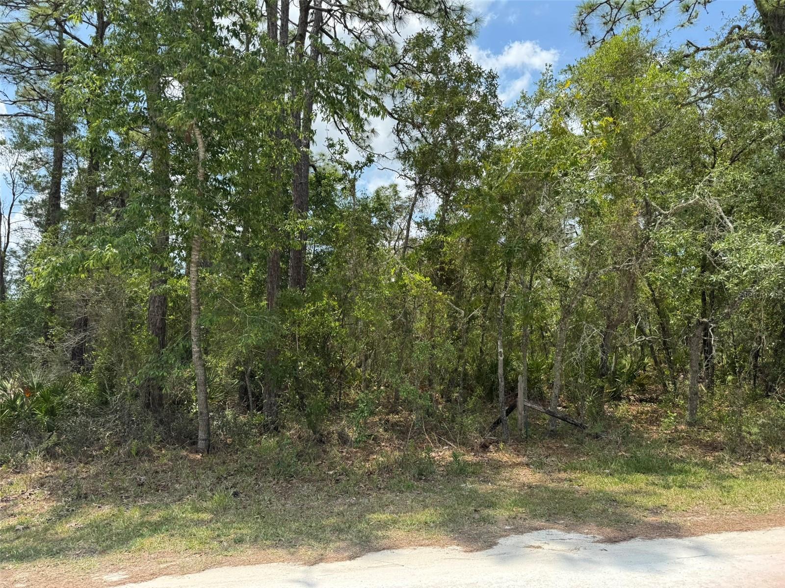 Image 2 of 4 For Lot 55 Nakoma Way