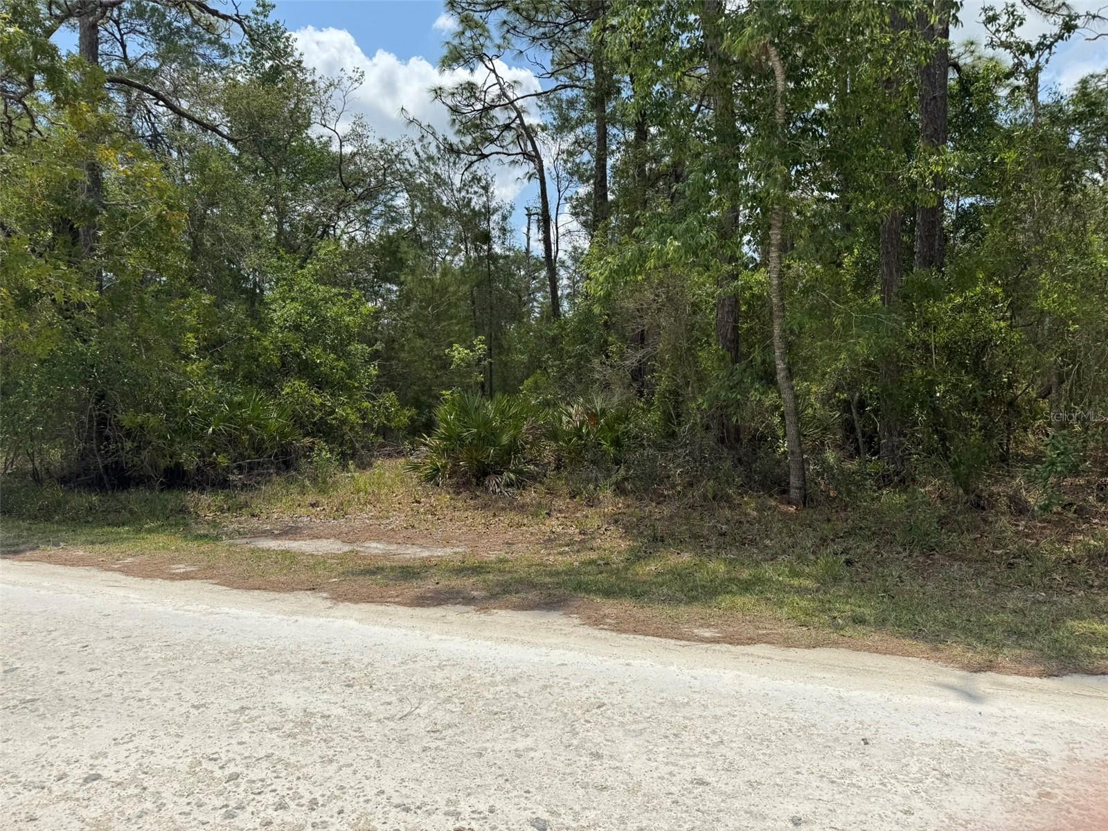 Image 3 of 4 For Lot 55 Nakoma Way