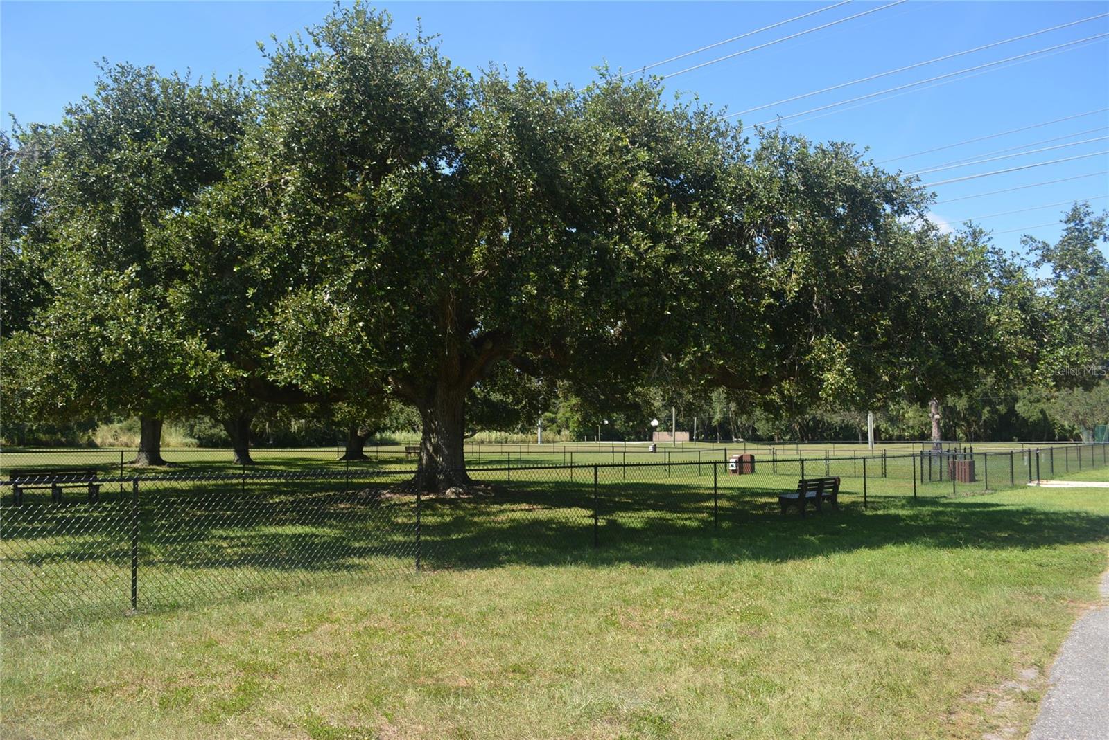Image 39 of 54 For 5131 Willow Links  10