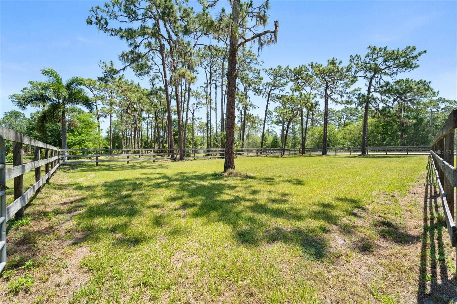Image 39 of 68 For 13719 Seminole Trail