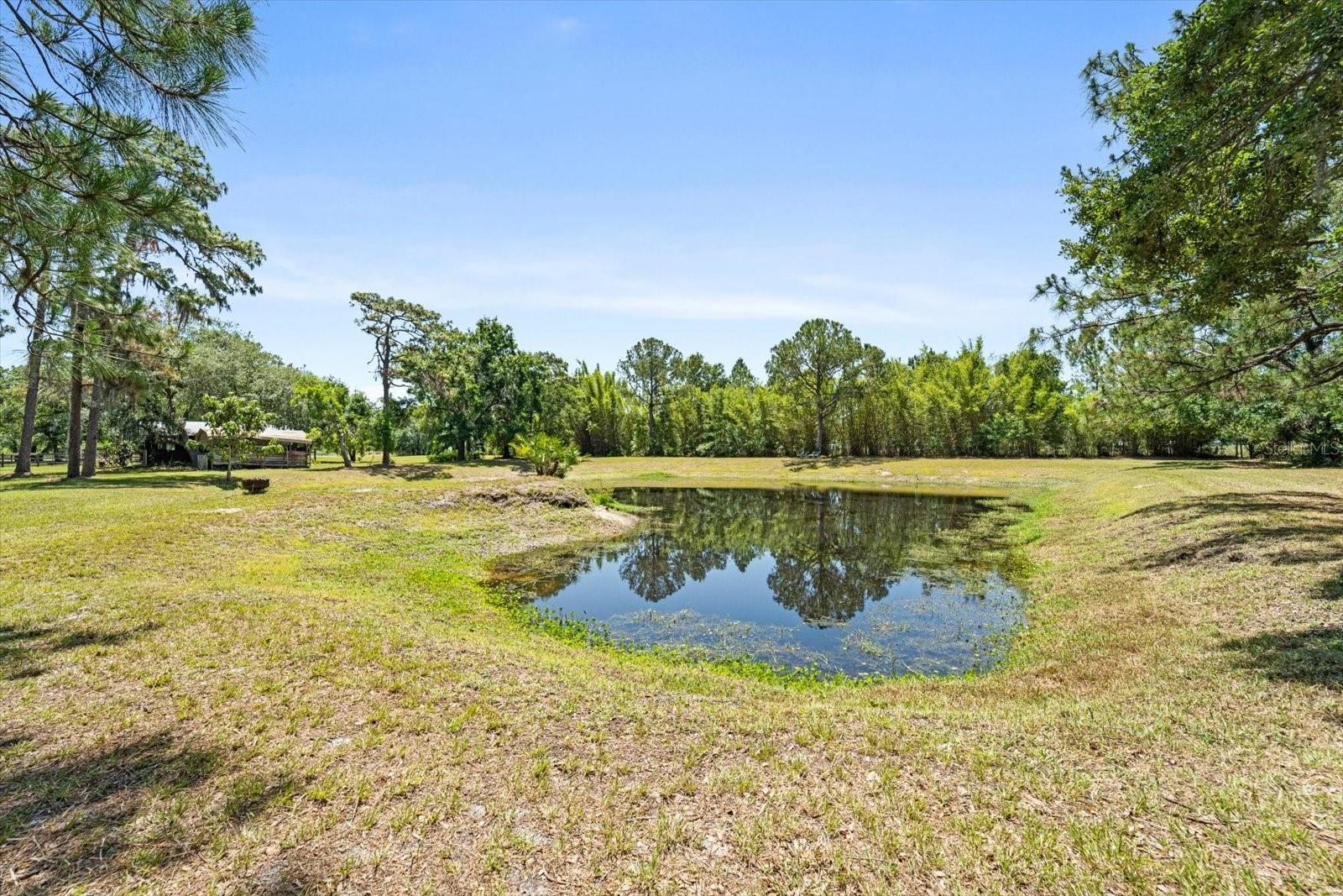 Image 51 of 68 For 13719 Seminole Trail