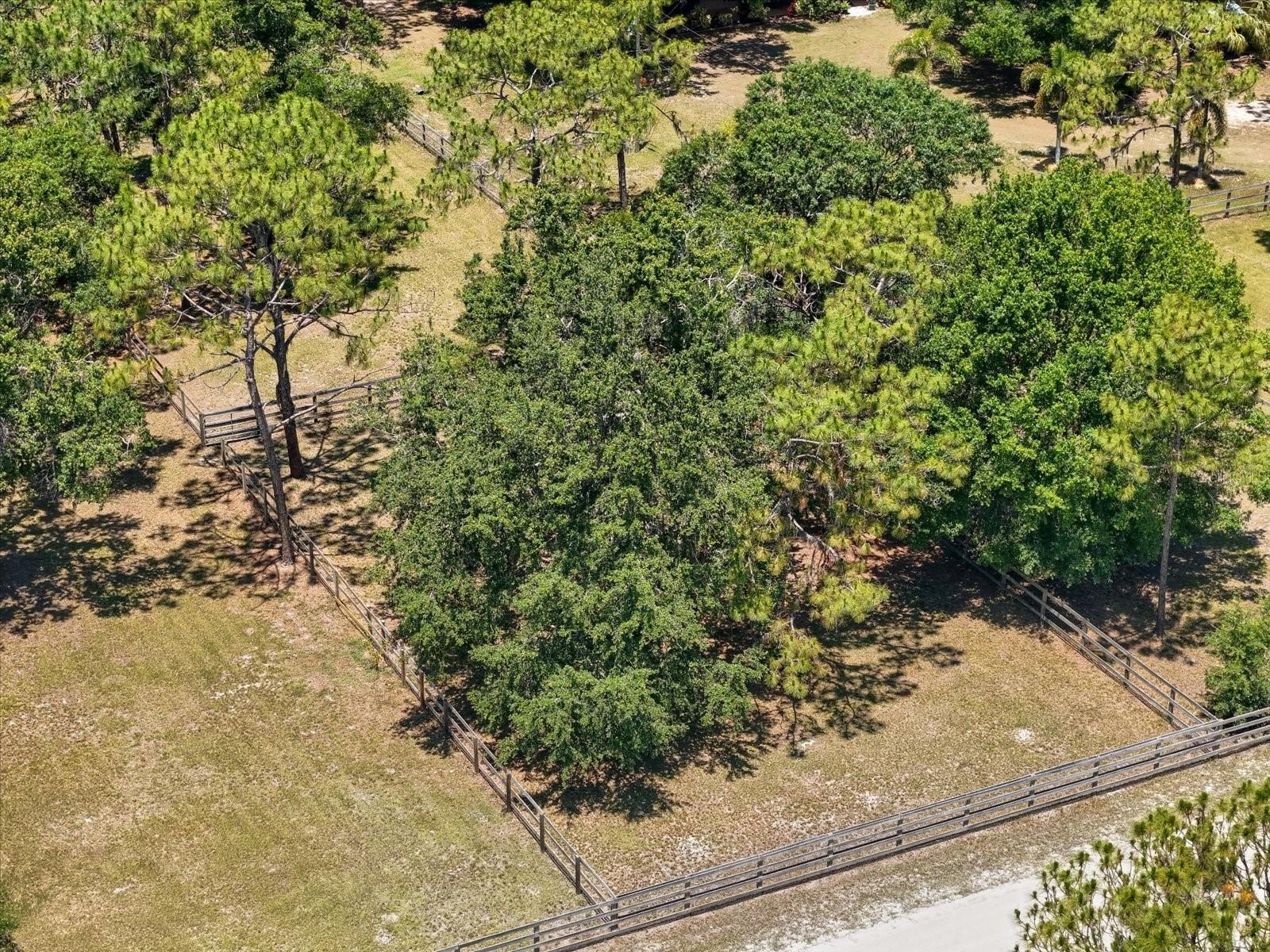 Image 65 of 68 For 13719 Seminole Trail