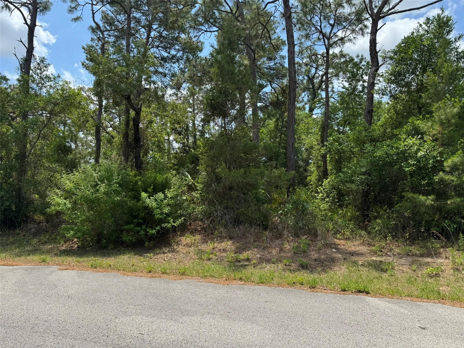 Listing photo id 0 for Lot 77 Waterbird Way