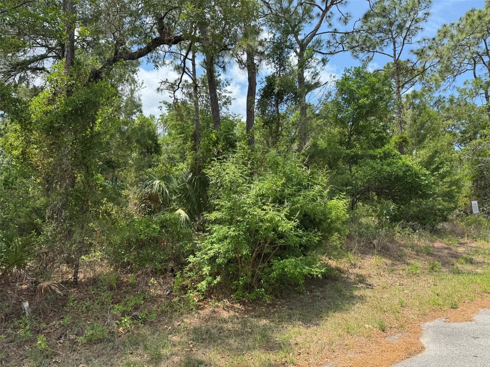Listing photo id 2 for Lot 77 Waterbird Way