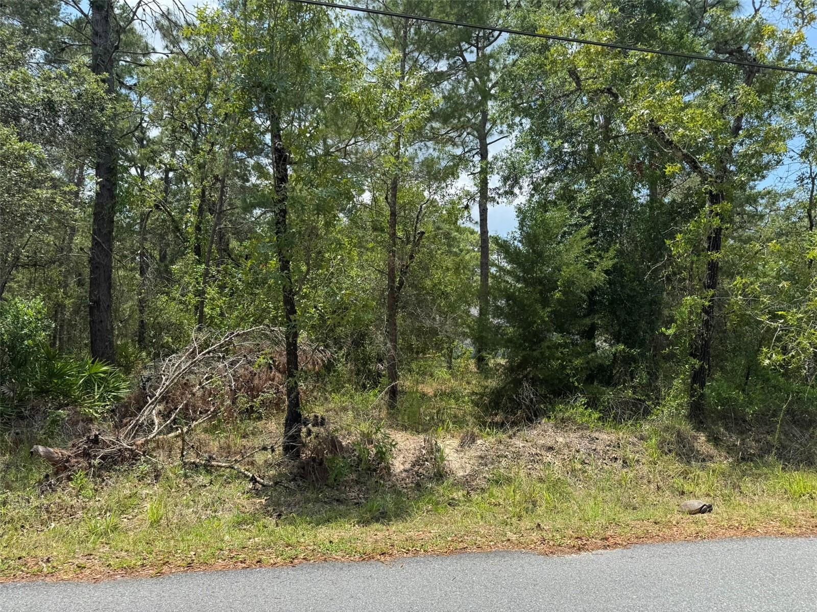 Details for Lot 62 Michigan Avenue, WEEKI WACHEE, FL 34613