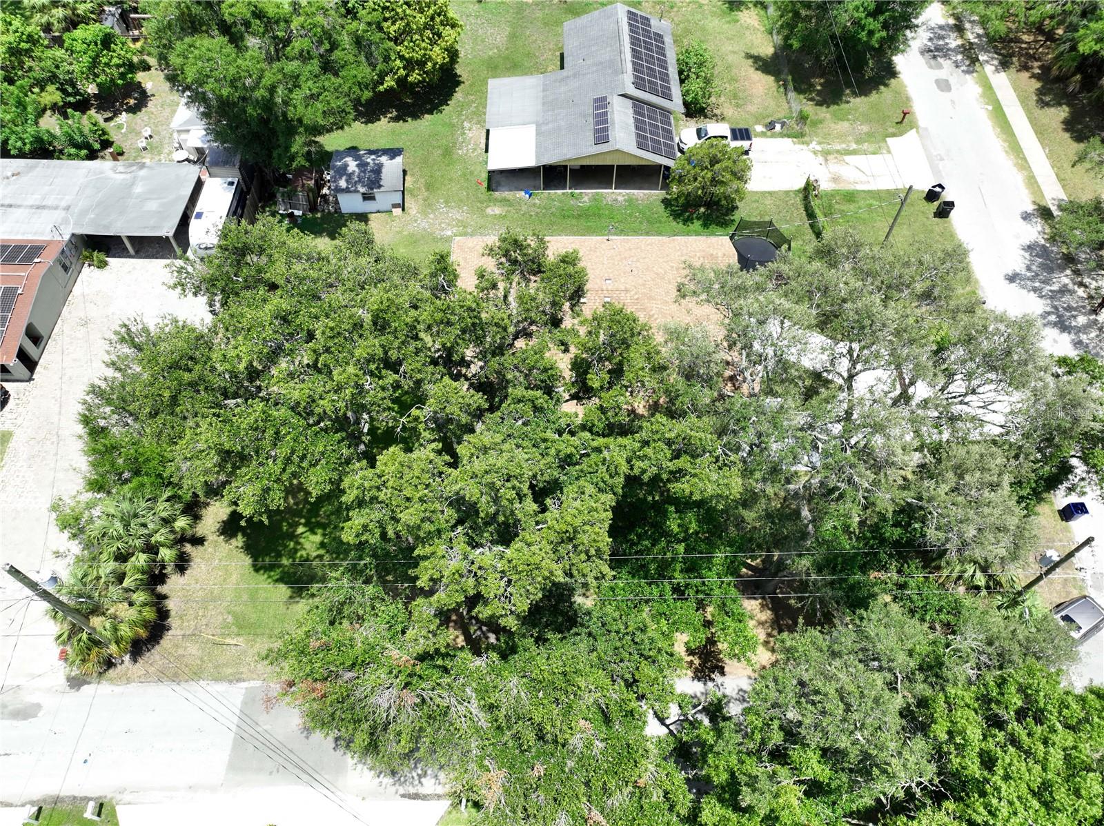 Listing photo id 71 for 4209 Woodlawn Avenue