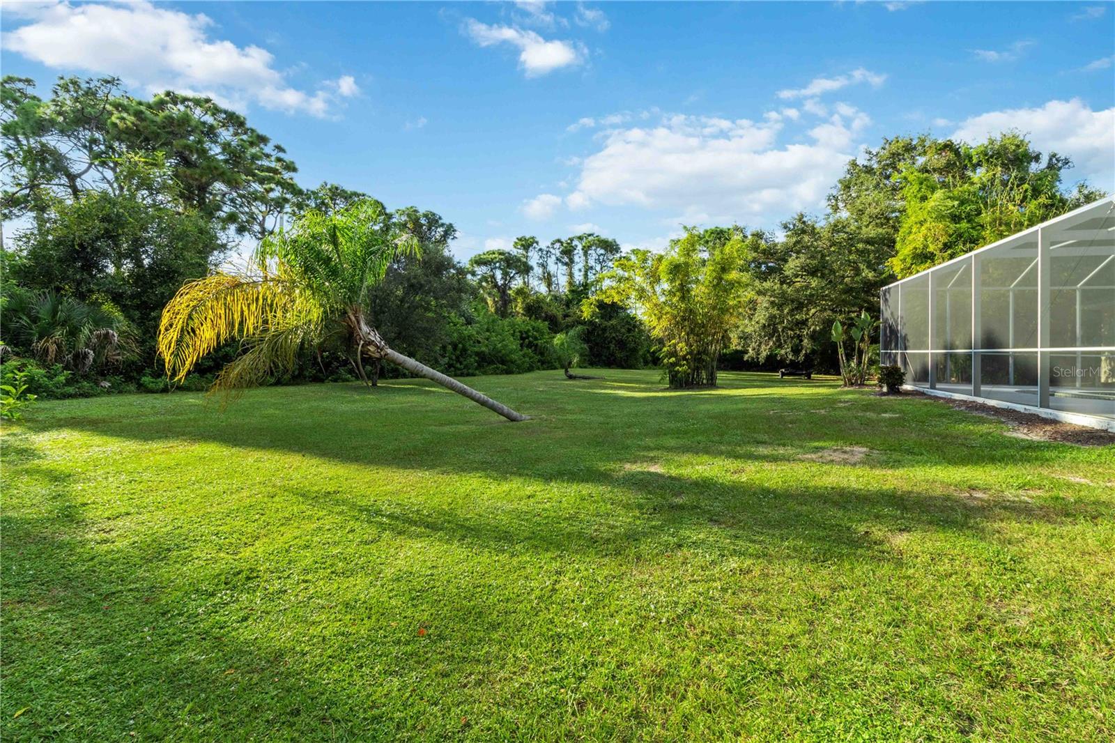 Image 82 of 82 For 296 Pine Ranch Trail