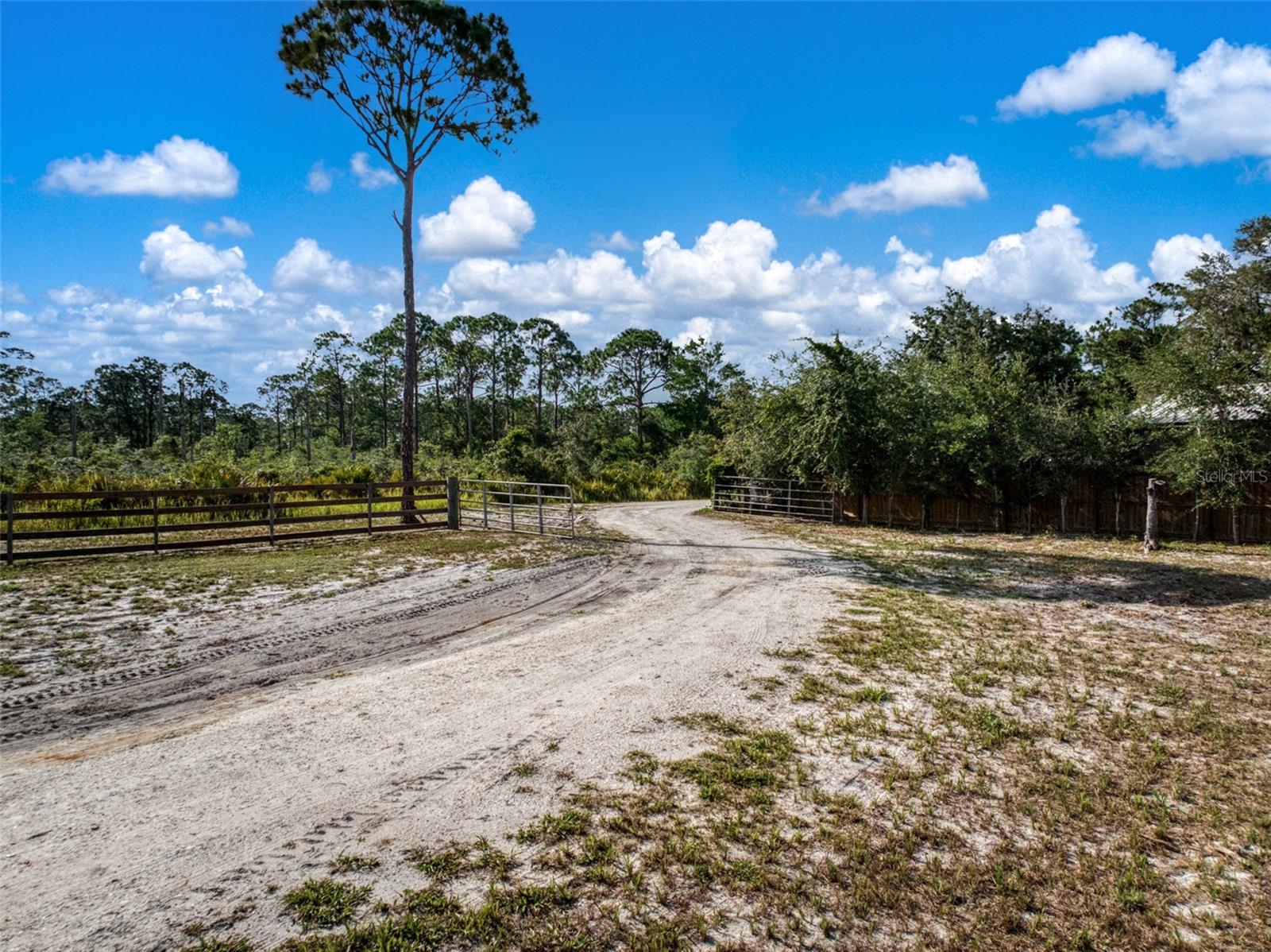 Image 49 of 70 For 9534 Wispywoods Drive