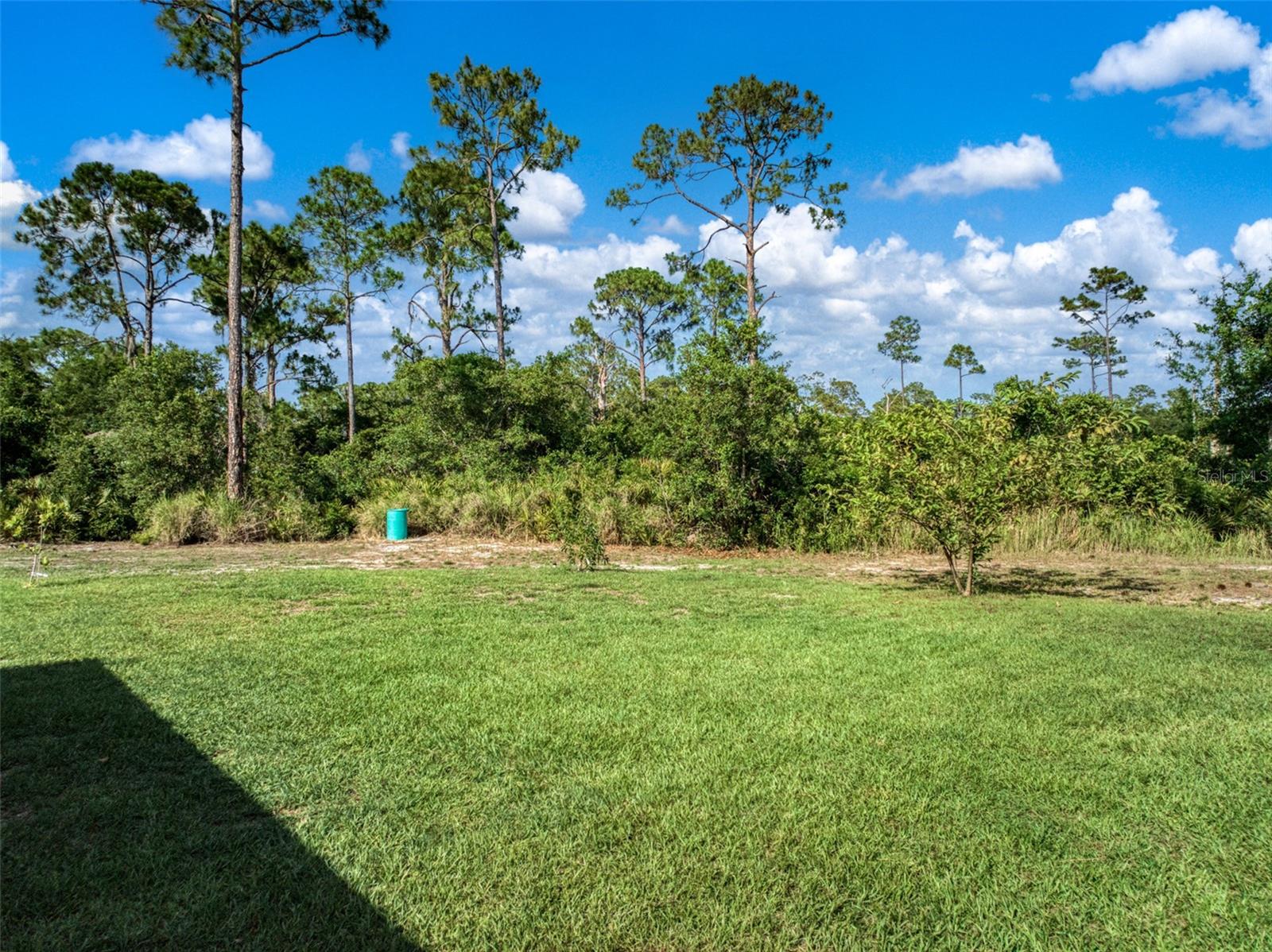 Image 53 of 70 For 9534 Wispywoods Drive
