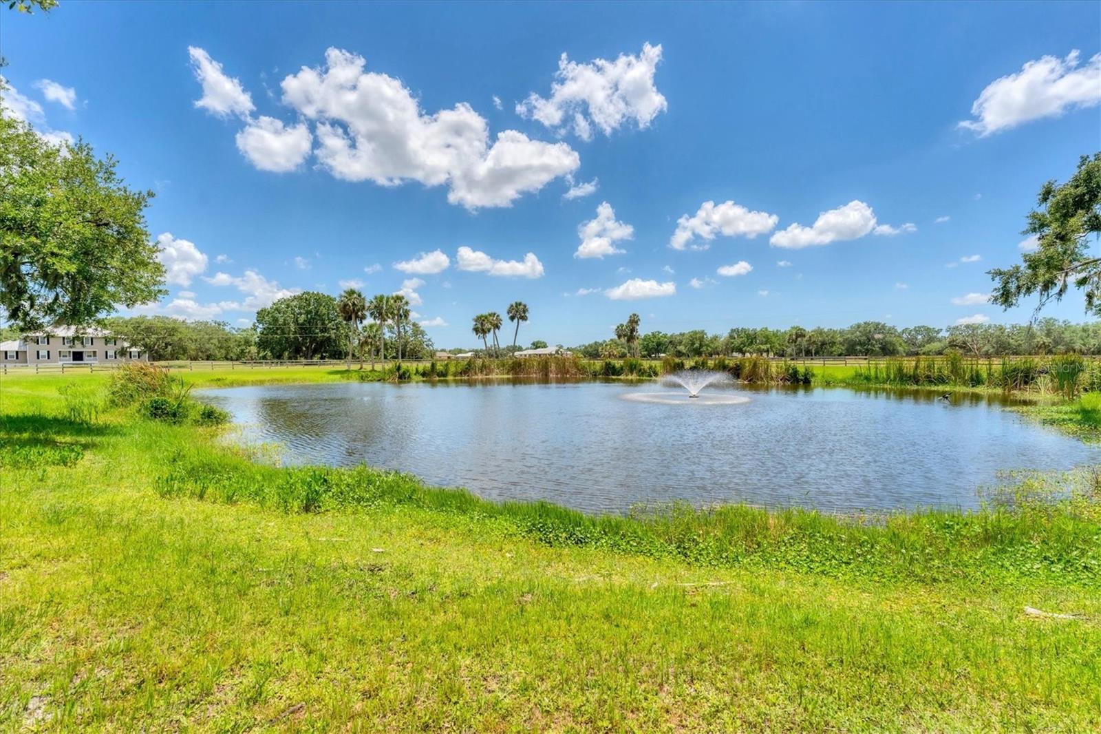 Image 46 of 51 For 919 Palm View Way