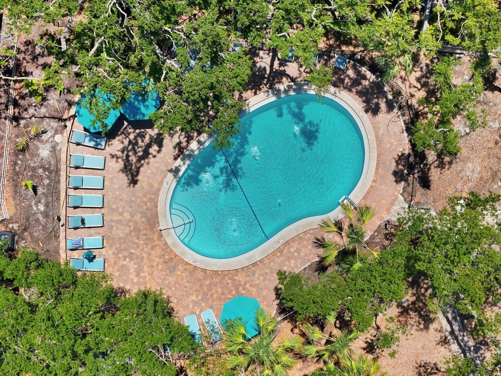 Image 45 of 53 For 1255 Peppertree Drive 507