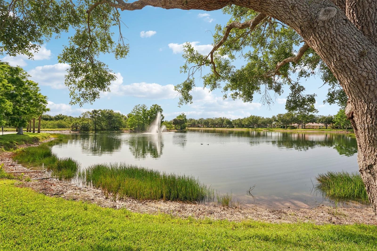 Image 40 of 74 For 7632 Quinto Drive