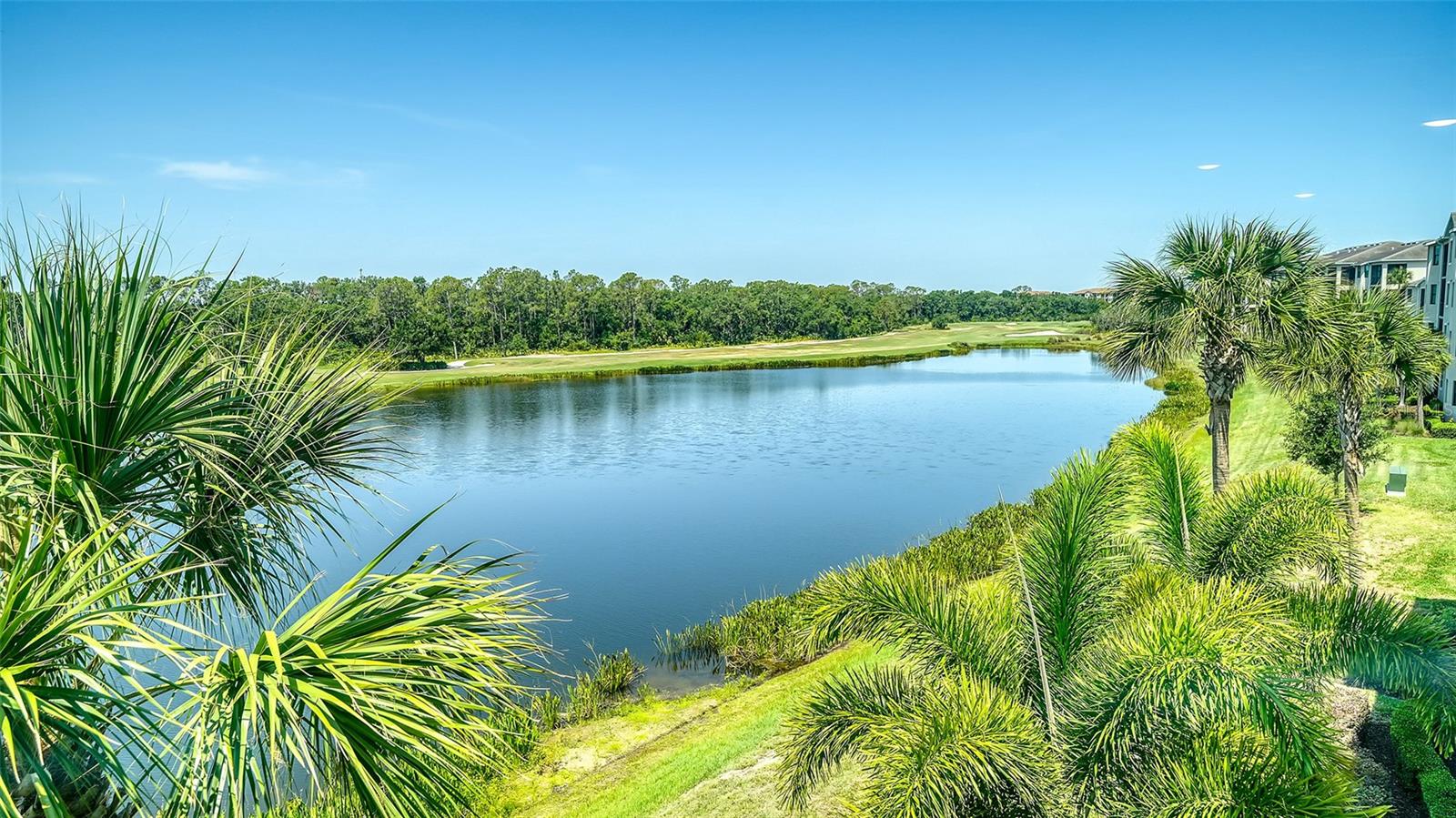 Image 8 of 65 For 17704 Gawthrop Drive 303