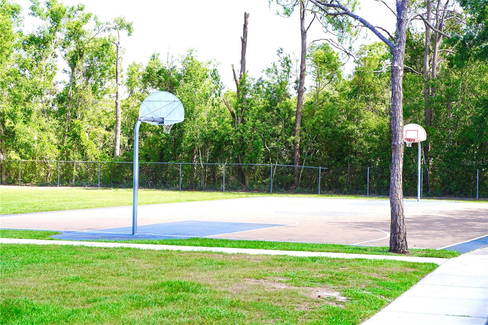Image 15 of 15 For 6704 Rosemary Drive