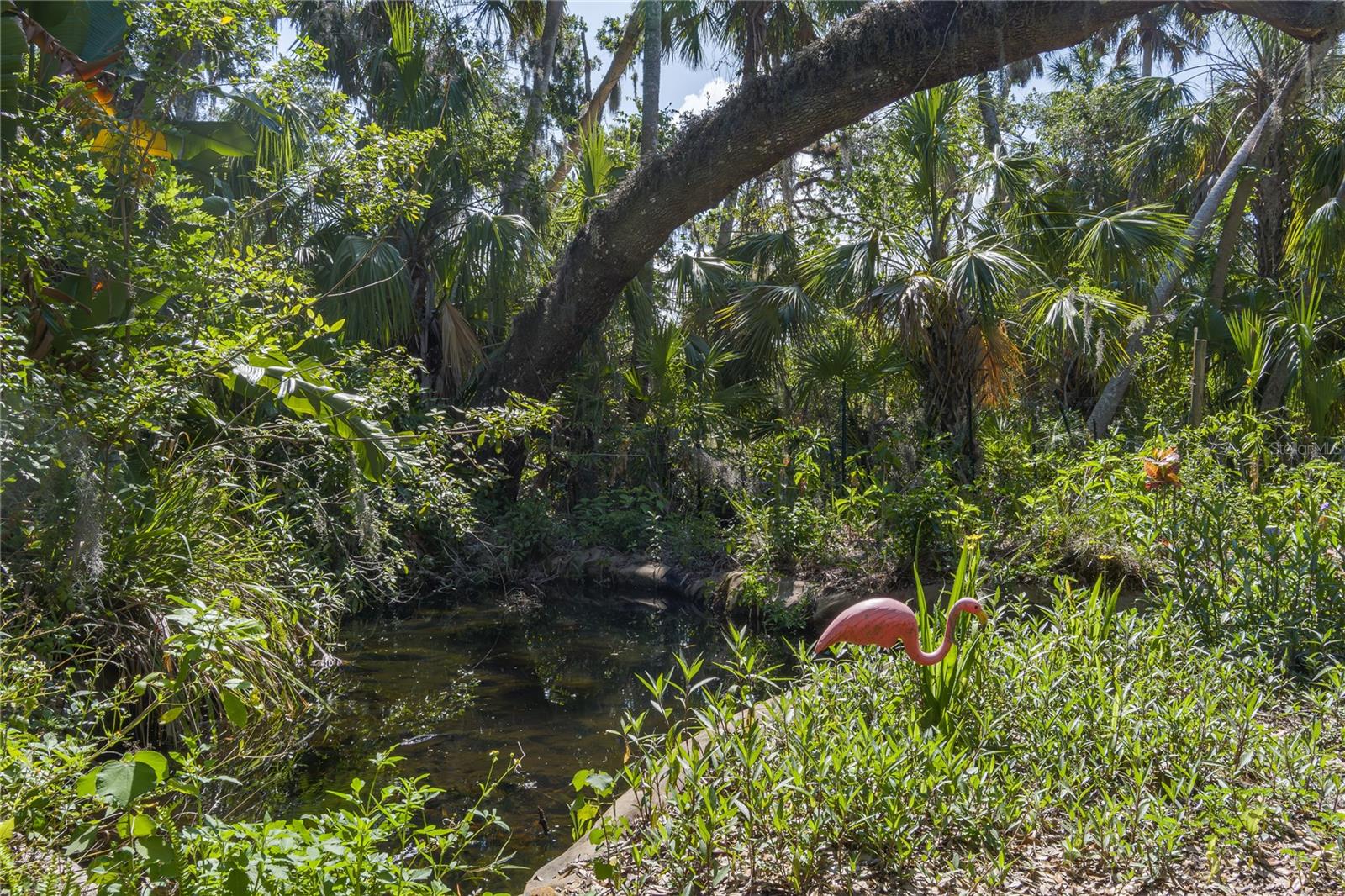 Image 57 of 68 For 7251 Fish Farm Road