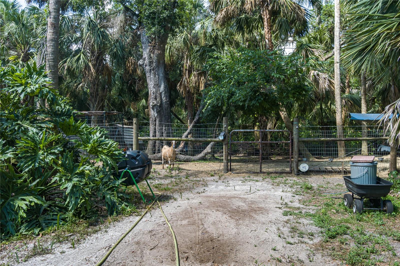 Image 60 of 68 For 7251 Fish Farm Road