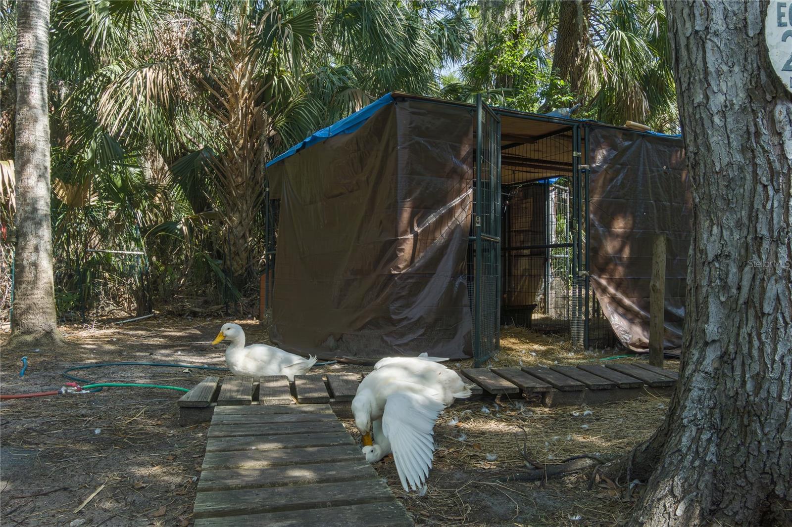 Image 62 of 68 For 7251 Fish Farm Road
