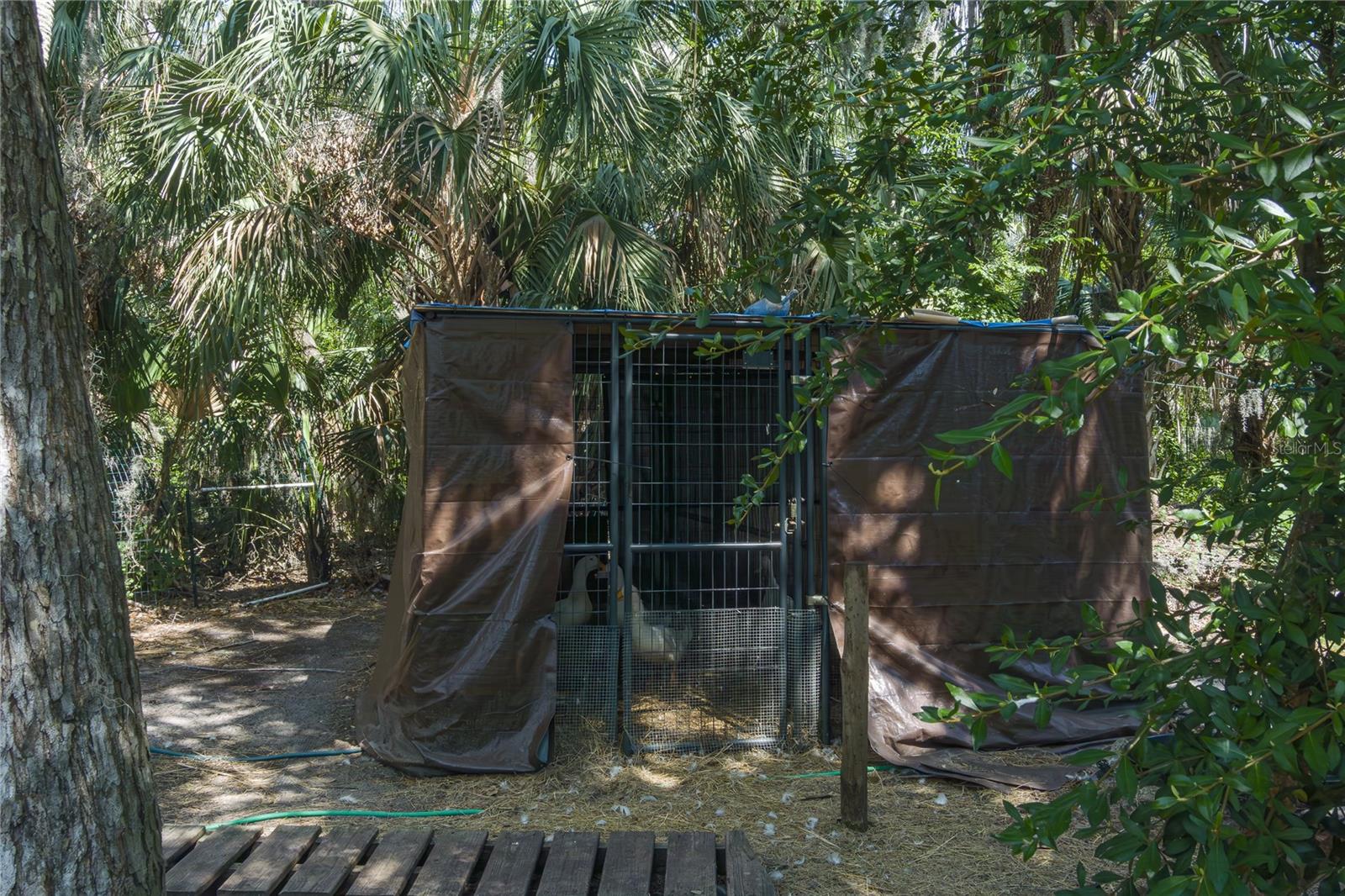 Image 66 of 68 For 7251 Fish Farm Road