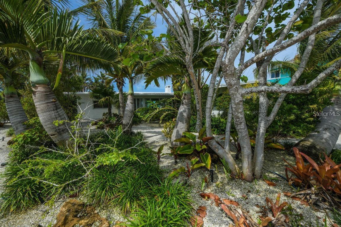 Image 51 of 52 For 102 77th Street