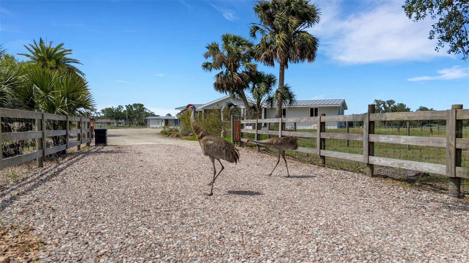 Image 3 of 50 For 7160 Myakka Valley Trail