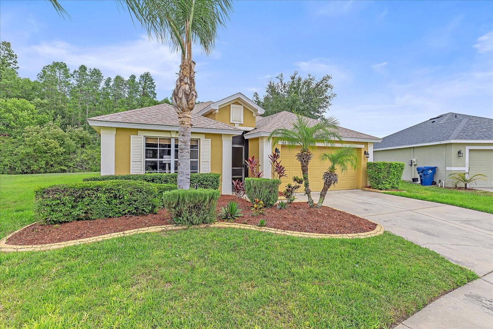 Details for 5618 Sheer Bliss Loop, LAND O LAKES, FL 34639