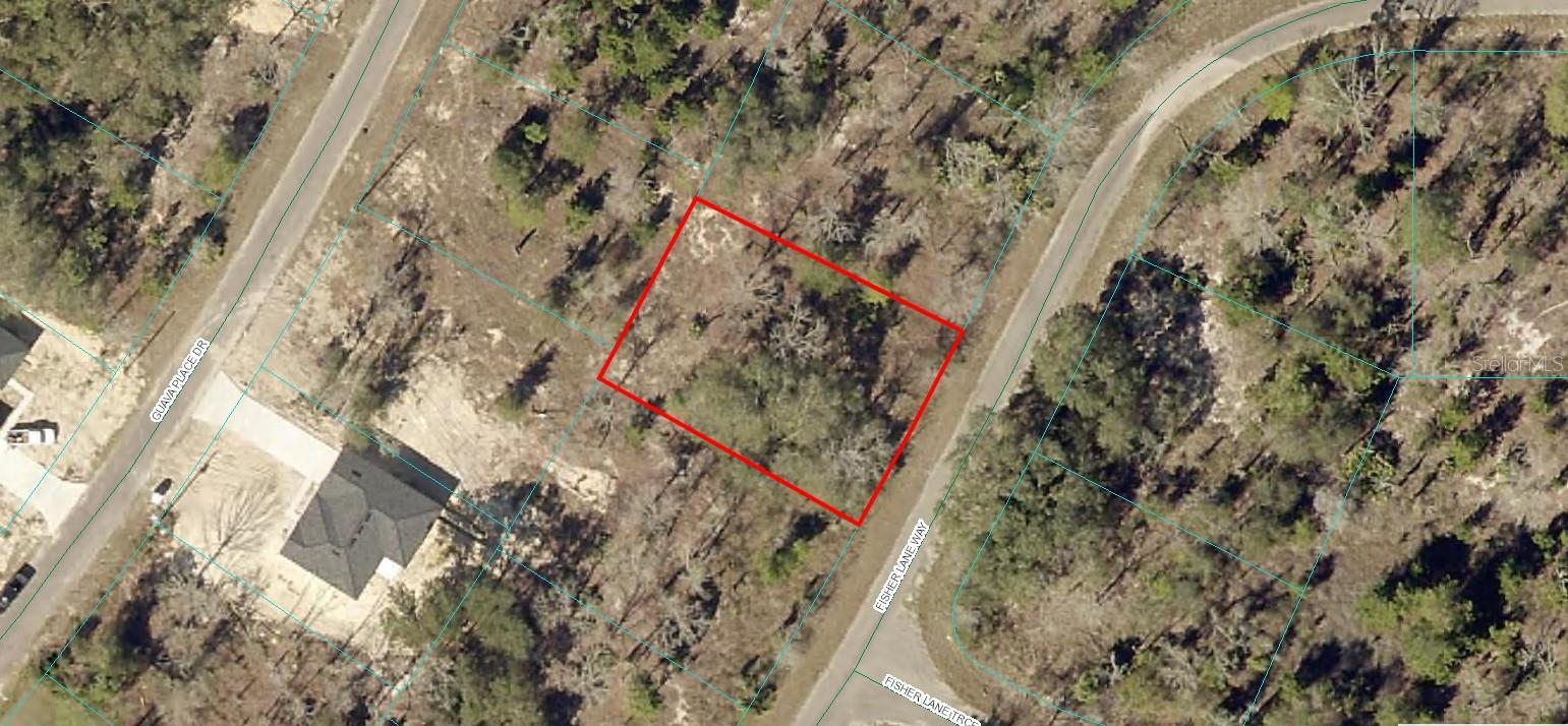 Details for 9038-1243-22 Fisher Lane Way, OCKLAWAHA, FL 32179