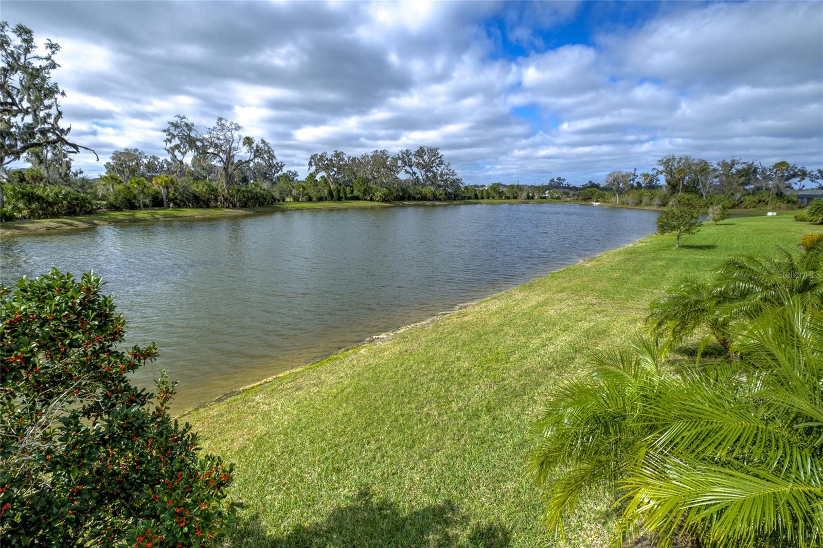 Listing photo id 42 for 3631 Shimmering Oaks Drive