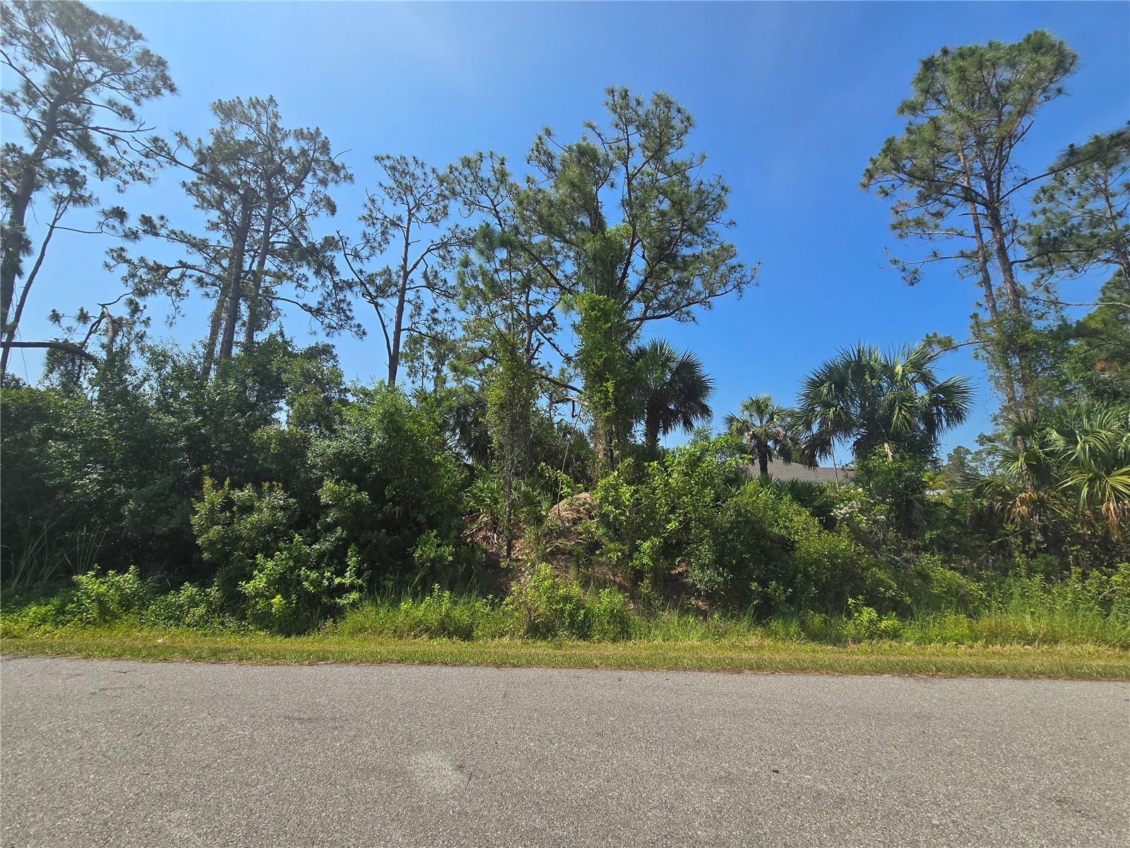 Image 11 of 14 For  Alva Street 