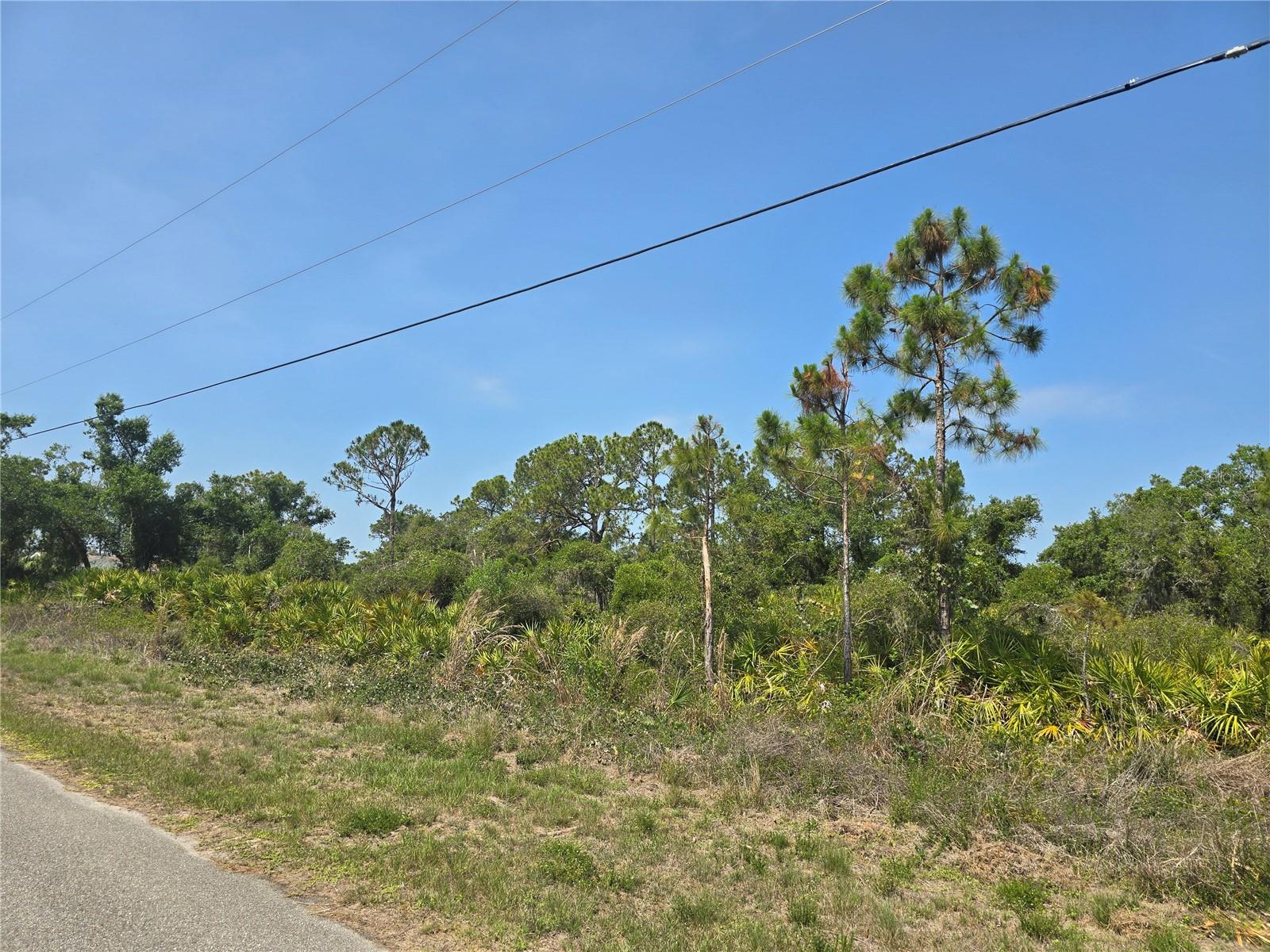 Image 12 of 14 For  Alva Street 