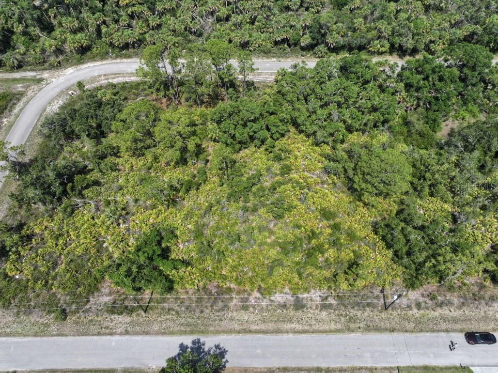 Image 8 of 14 For  Alva Street 
