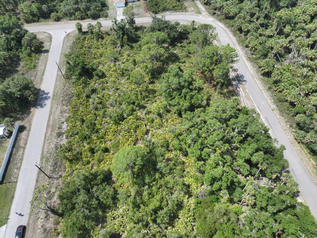 Image 9 of 14 For  Alva Street 