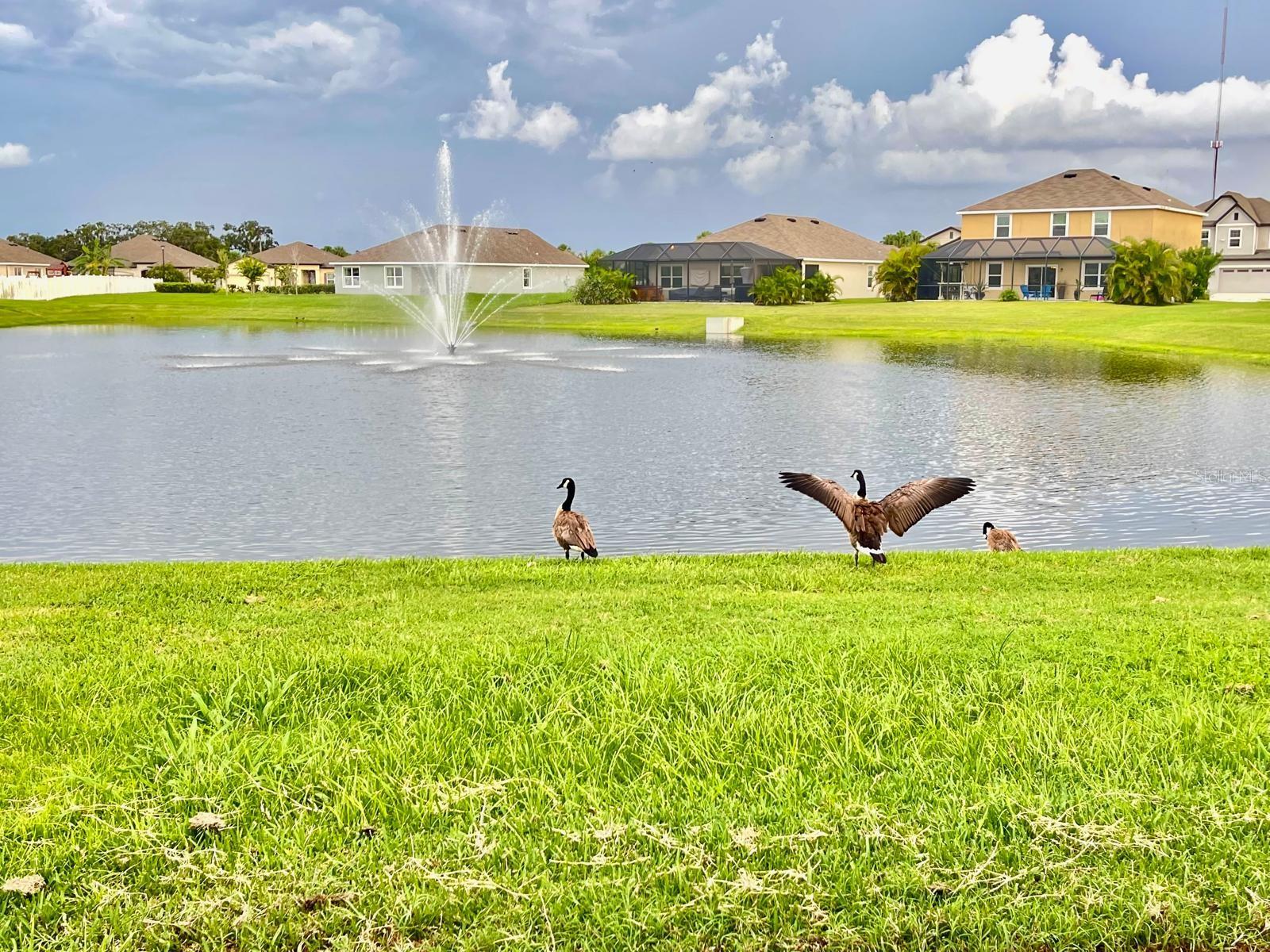 Image 25 of 34 For 2410 Mizner Bay Avenue