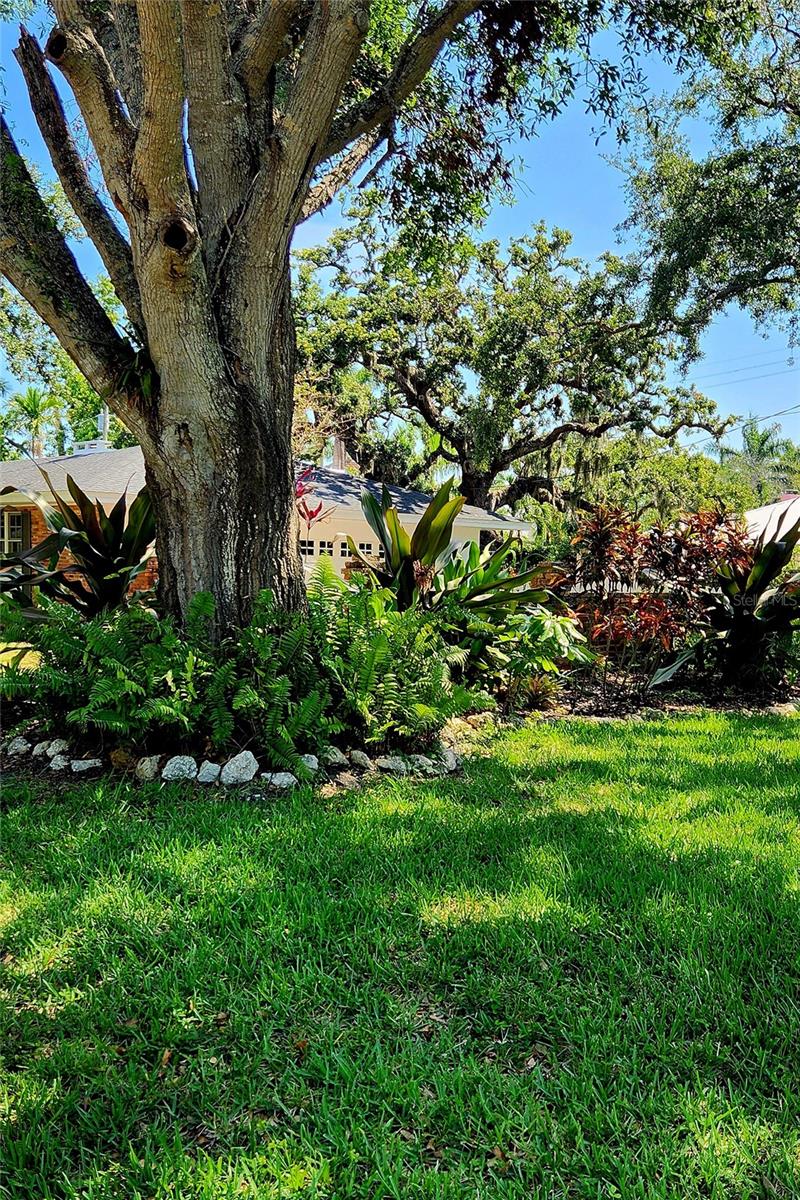 Image 4 of 38 For 219 24th Street W