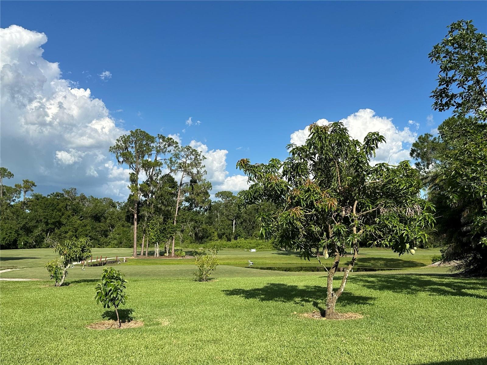 Image 72 of 80 For 3192 Oaks Bend