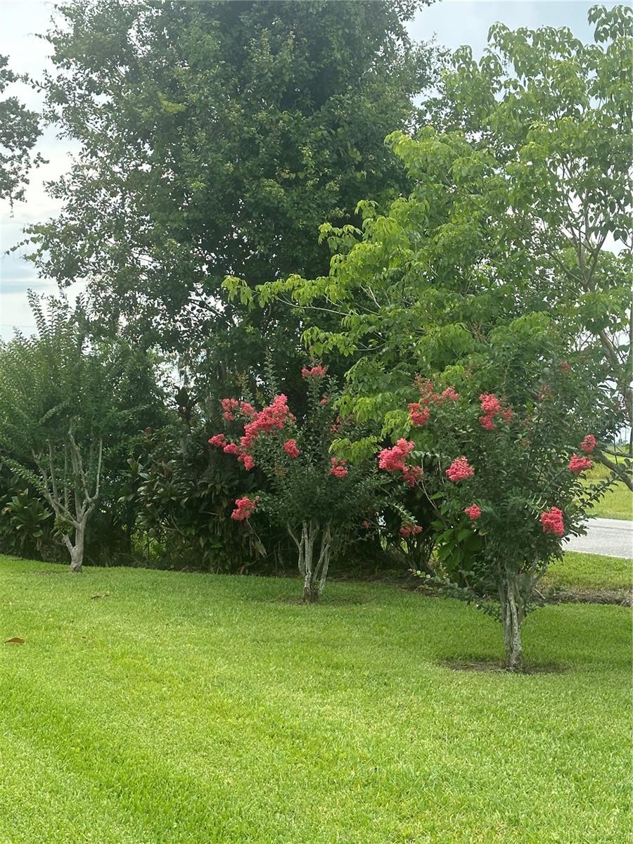 Image 74 of 80 For 3192 Oaks Bend