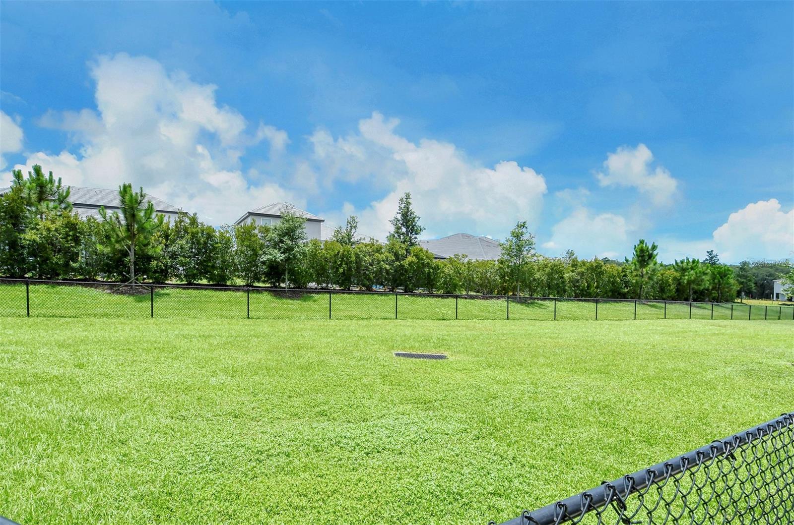 Image 61 of 61 For 1919 Woodleaf Hammock Court